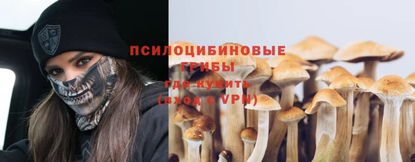 кокс Баксан