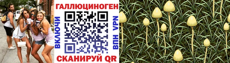Галлюциногенные грибы MAGIC MUSHROOMS  Мариинск 